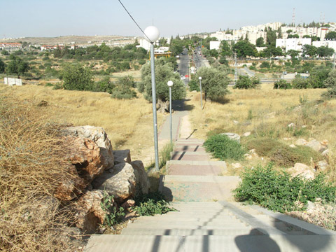 Path built by settlers on family's land