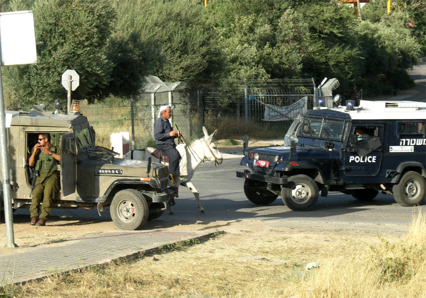 Military and man on donkey