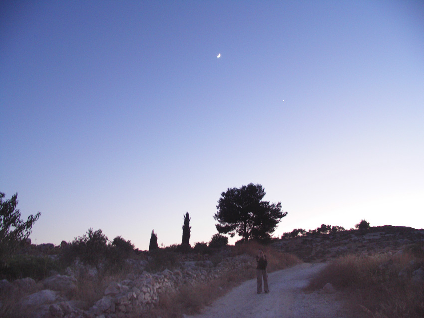 Evening Sillouette of D.I.