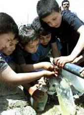 boys fill bottles with water from a pipe.