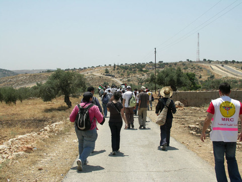 We Walk Down the Road