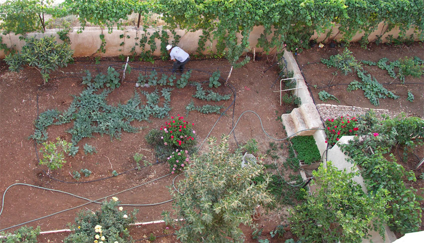 Deeb's Garden