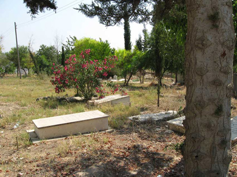 Village Graveyard - new graves