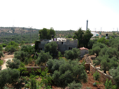 Garden, Tower, Settlement